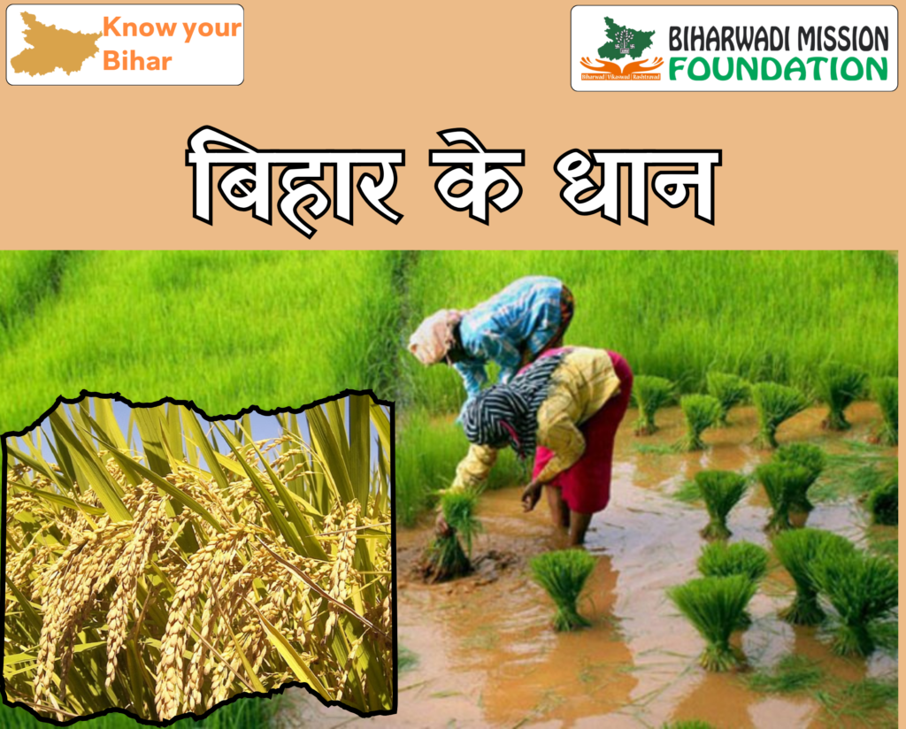 बिहार के धान