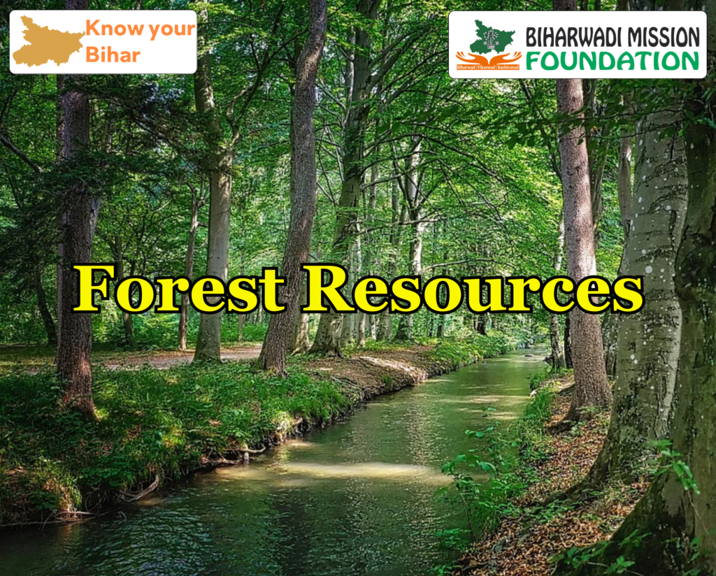 Forest Resources