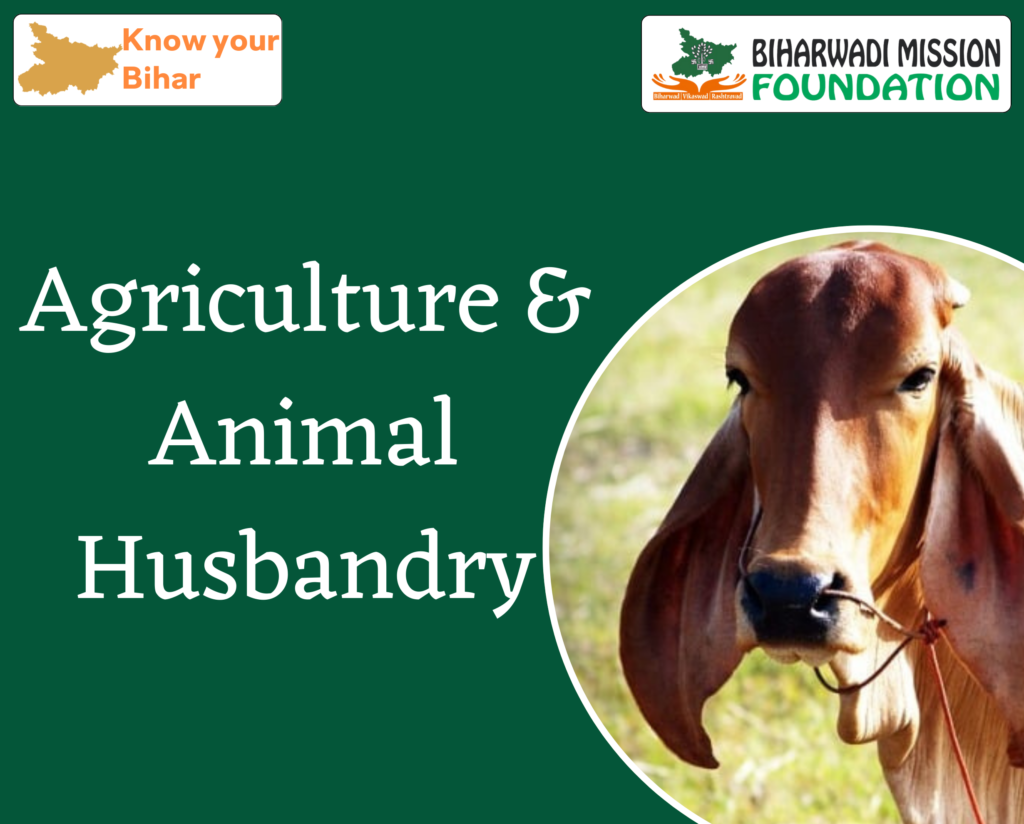 Agriculture & Animal Husbandry